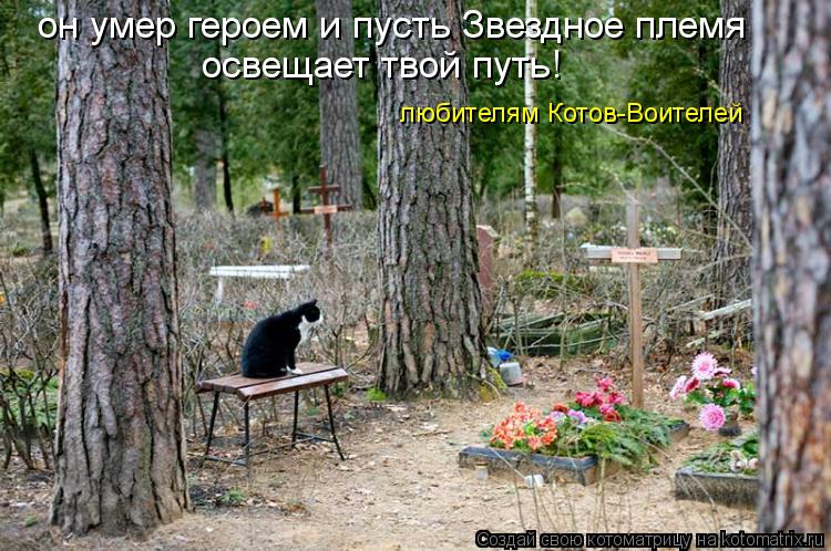 Котоматрица: он умер героем и пусть Звездное племя освещает твой путь! любителям Котов-Воителей