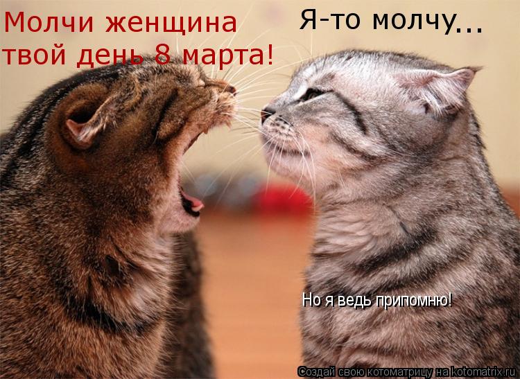 Котоматрица: Молчи женщина твой день 8 марта! Я-то молчу  ... Но я ведь припомню!