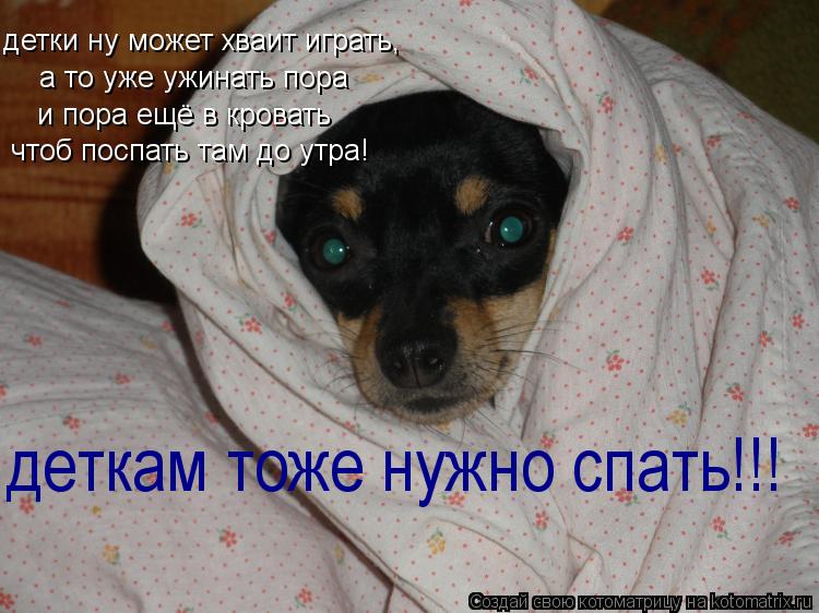 Котоматрица: детки ну может хваит играть, а то уже ужинать пора и пора ещё в кровать чтоб поспать там до утра! деткам тоже нужно спать!!!