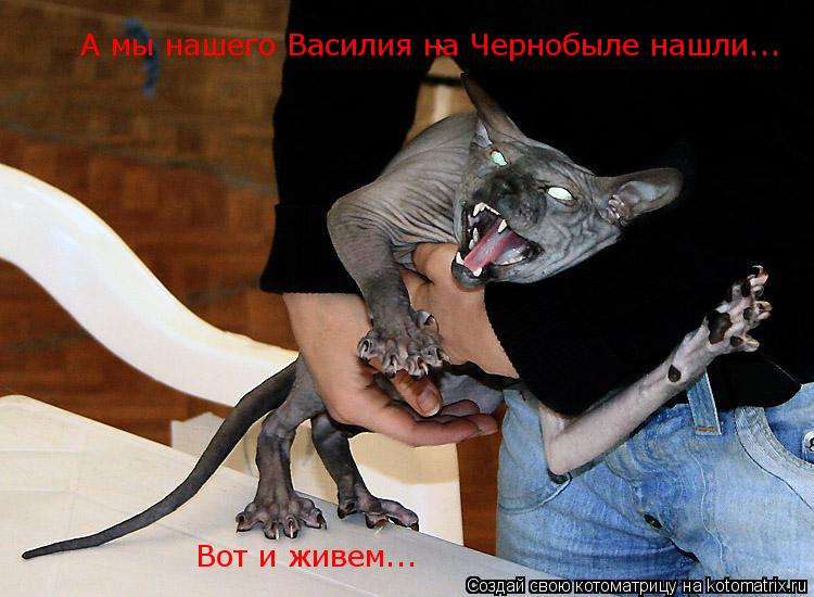 Котоматрица: А мы нашего Василия на Чернобыле нашли... Вот и живем...