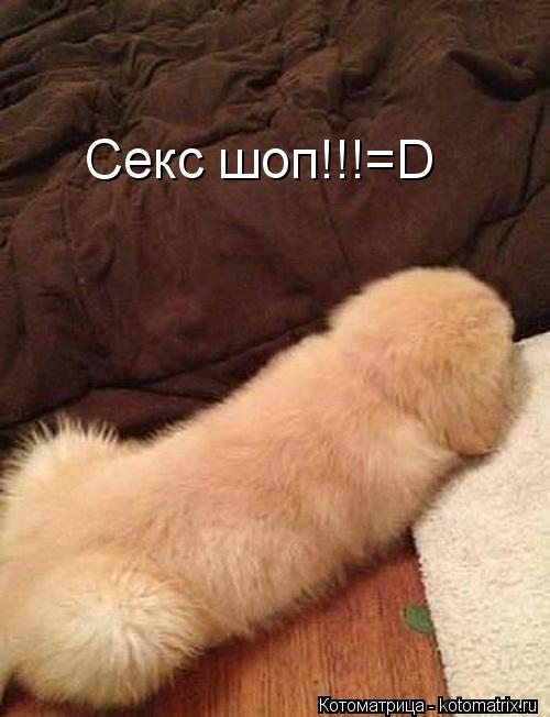 Котоматрица: Секс шоп!!!=D