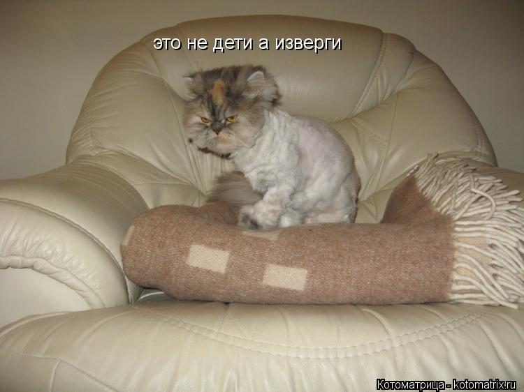 Котоматрица: это не дети а изверги