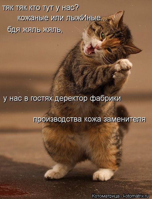 Котоматрица: тяк тяк кто тут у нас? у нас в гостях деректор фабрики кожаные или лыжИные... бдя жяль жяль, производства кожа заменителя