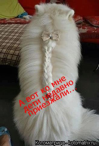 Котоматрица: А вот ко мне дети недавно приезжали...