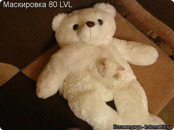 Котоматрица: Маскировка 80 LVL