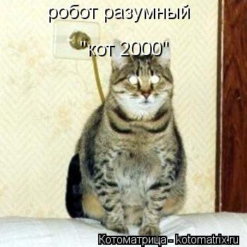 робот разумный "кот 2000"... Котоматрица: робот разумный "кот 2000"