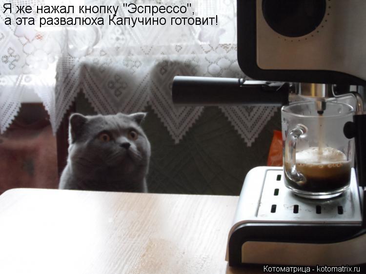 Котоматрица: Я же нажал кнопку "Эспрессо", а эта развалюха Капучино готовит!