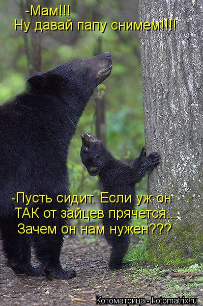 Котоматрица: -Мам!!!   Ну давай папу снимем!!!! -Пусть сидит. Если уж он ТАК от зайцев прячется.... Зачем он нам нужен???