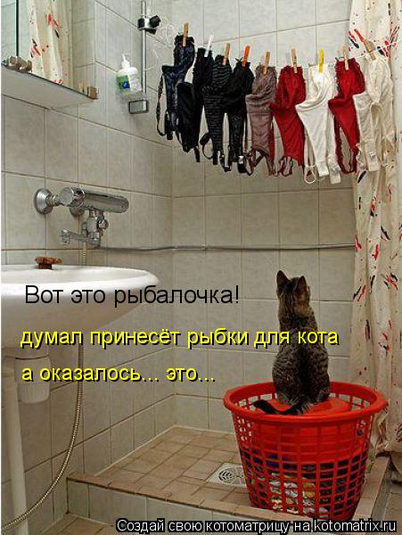 Вот это рыбалочка! думал принесёт рыбки для кота а оказалось... это...... Котоматрица: Вот это рыбалочка! думал принесёт рыбки для кота а оказалось... это...