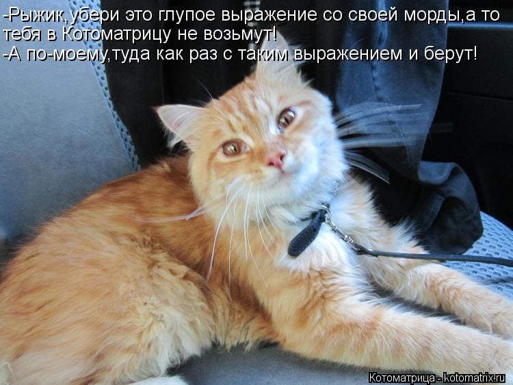 -Рыжик,убери это глупое выражение со своей морды,а то тебя в Котоматрицу не возьмут! -А по-моему,туда... Котоматрица: -Рыжик,убери это глупое выражение со своей морды,а то тебя в Котоматрицу не возьмут! -А по-моему,туда как раз с таким выражением и берут!
