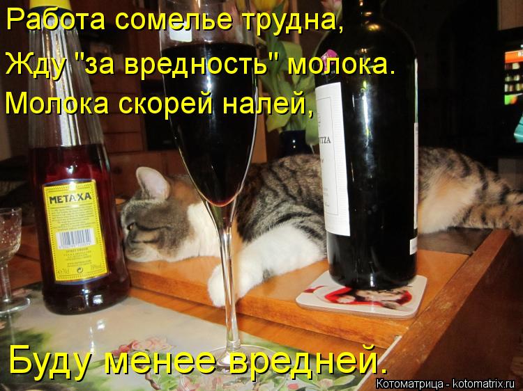 Работа сомелье трудна, Жду "за вредность" молока. Молока скорей налей, Буду менее вредней.... Котоматрица: Работа сомелье трудна, Жду "за вредность" молока. Молока скорей налей, Буду менее вредней.