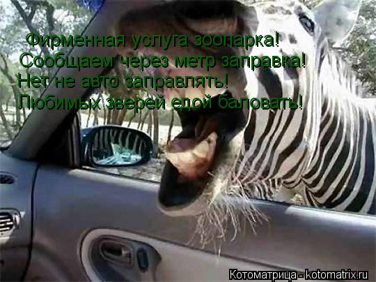 Котоматрица: Фирменная услуга зоопарка! Сообщаем через метр заправка! Нет не авто заправлять! Любимых зверей едой баловать!