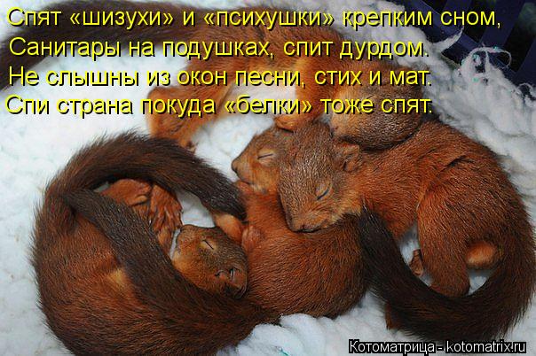 Спят «шизухи» и «психушки» крепким сном, Санитары на подушках, спит дурдом. Не слышны из окон песни, ... Котоматрица: Спят «шизухи» и «психушки» крепким сном, Санитары на подушках, спит дурдом. Не слышны из окон песни, стих и мат. Спи страна покуда «белки» то
