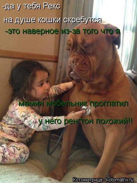 Котоматрица: на душе кошки скребутся -это наверное из-за того что я -да у тебя Рекс   мамин мобельник проглатил у него ренгтон похожий!!