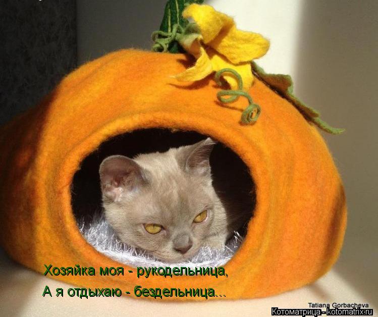 Котоматрица: Хозяйка моя - рукодельница, А я отдыхаю - бездельница...