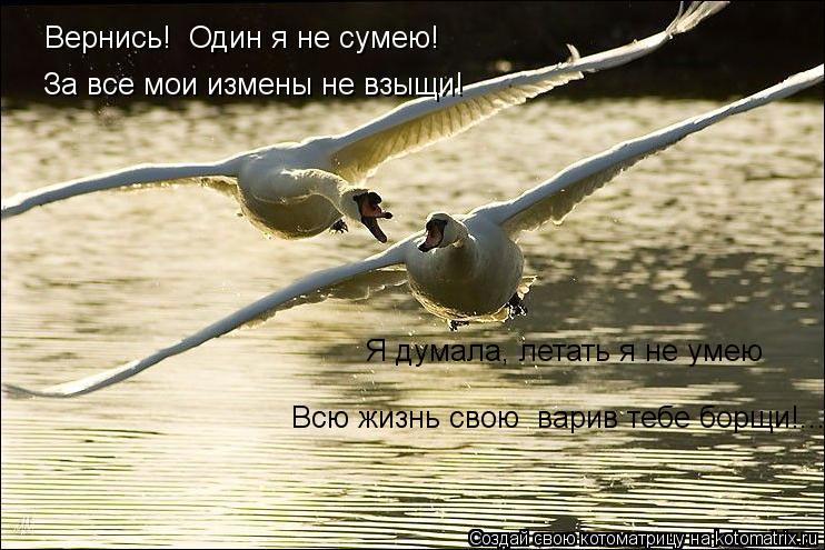 Котоматрица: Я думала, летать я не умею За все мои измены не взыщи! Вернись!  Один я не сумею! Всю жизнь свою  варив тебе борщи!...