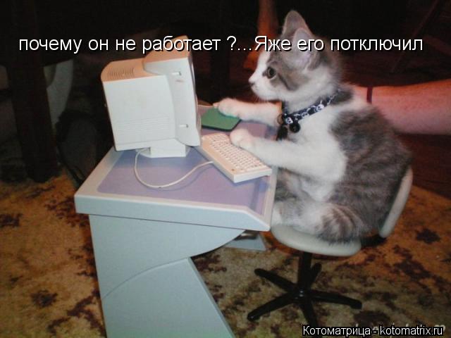 почему он не работает ?...Яже его потключил... Котоматрица: почему он не работает ?...Яже его потключил