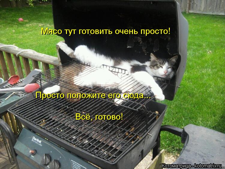 Котоматрица: Мясо тут готовить очень просто! Просто положите его сюда... Всё, готово!