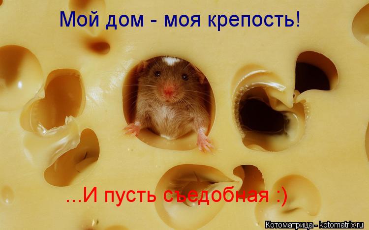 Мой дом - моя крепость! ...И пусть съедобная :)... Котоматрица: Мой дом - моя крепость! ...И пусть съедобная :)