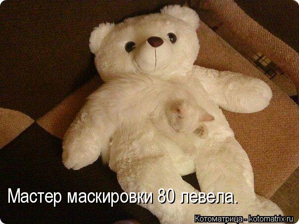 Котоматрица: Мастер маскировки 80 левела.