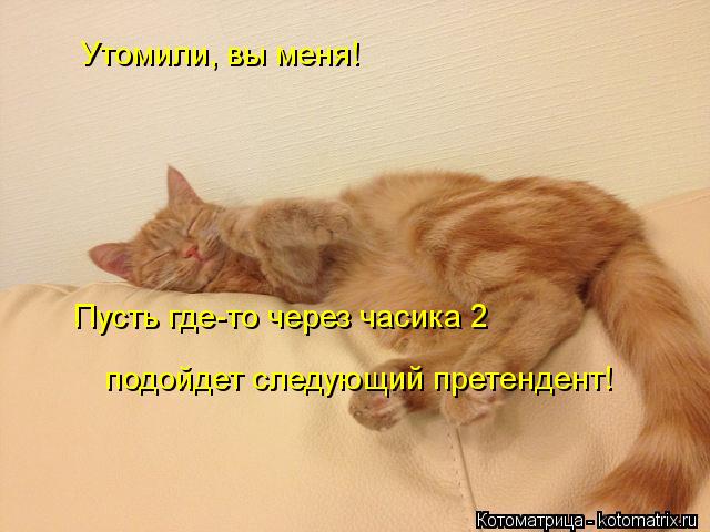 Утомили, вы меня! Пусть где-то через часика 2 подойдет следующий претендент!... Котоматрица: Утомили, вы меня! Пусть где-то через часика 2 подойдет следующий претендент!