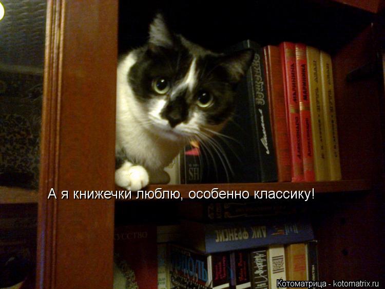 А я книжечки люблю, особенно классику!... Котоматрица: А я книжечки люблю, особенно классику!