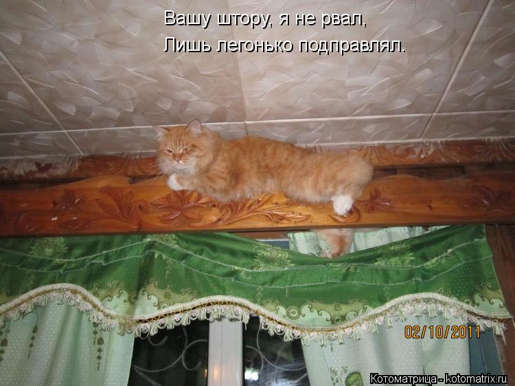 Котоматрица: Вашу штору, я не рвал, Лишь легонько подправлял.