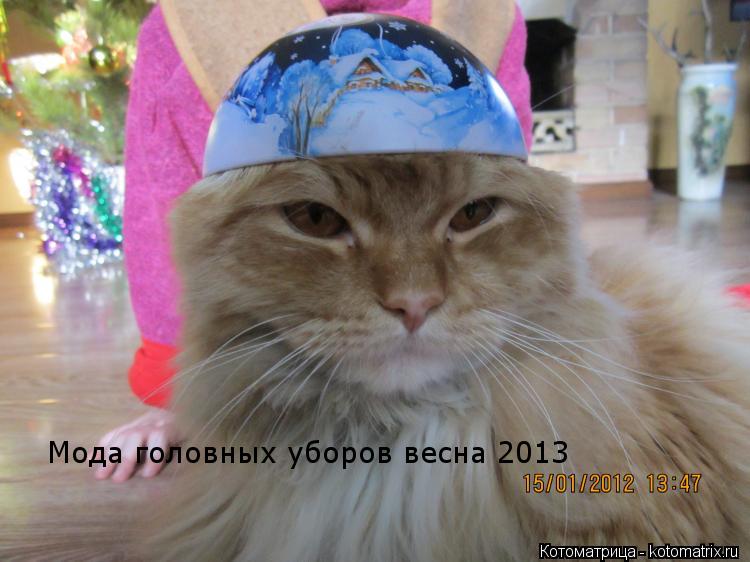 Котоматрица: Мода головных уборов весна 2013