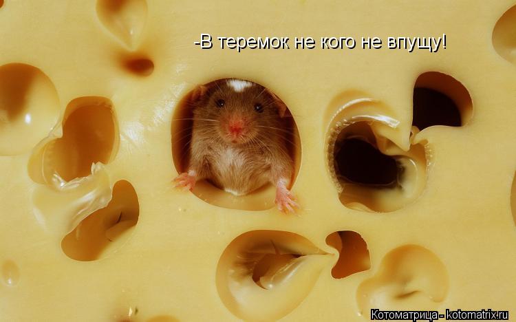-В теремок не кого не впущу!... Котоматрица: -В теремок не кого не впущу!