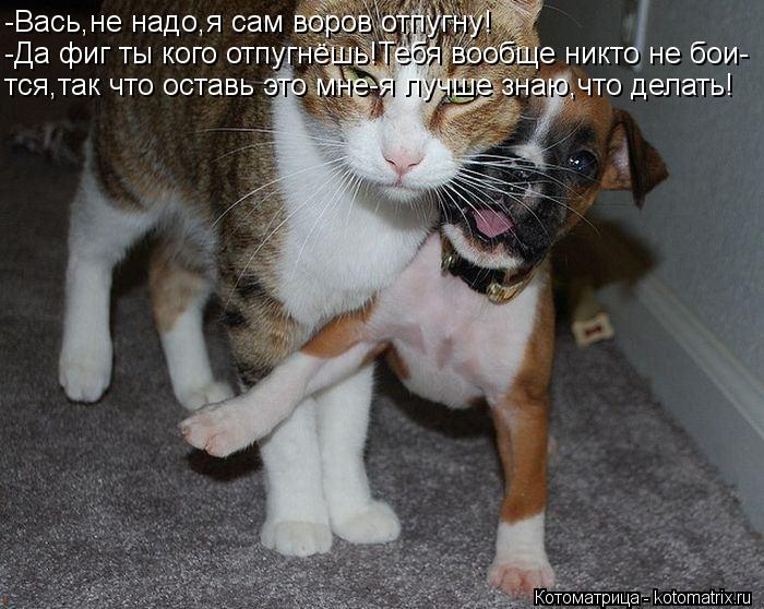 -Вась,не надо,я сам воров отпугну! -Да фиг ты кого отпугнёшь!Тебя вообще никто не бои- тся,так что ос... Котоматрица: -Вась,не надо,я сам воров отпугну! -Да фиг ты кого отпугнёшь!Тебя вообще никто не бои- тся,так что оставь это мне-я лучше знаю,что делать!