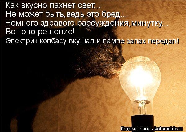 Котоматрица: Как вкусно пахнет свет... Не может быть,ведь это бред... Немного здравого рассуждения,минутку... Вот оно решение! Электрик колбасу вкушал и лам