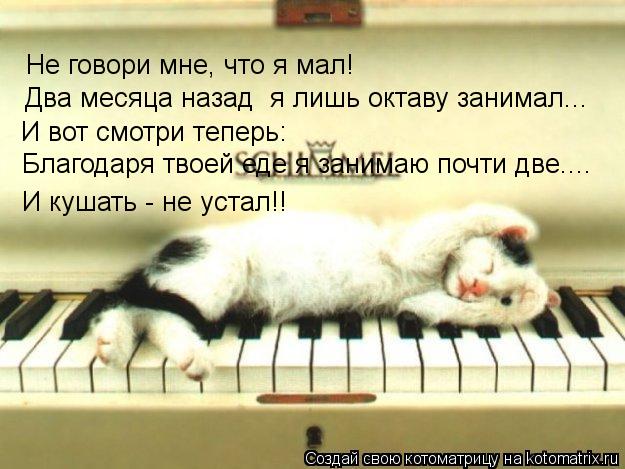 Не говори мне, что я мал! Два месяца назад я лишь октаву занимал... И вот смотри теперь: Благодаря т... Котоматрица: Не говори мне, что я мал! Два месяца назад я лишь октаву занимал... И вот смотри теперь: Благодаря твоей еде я занимаю почти две.... И кушать - не