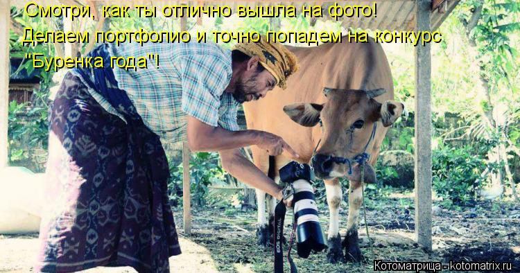 Котоматрица: "Буренка года"! Делаем портфолио и точно попадем на конкурс Смотри, как ты отлично вышла на фото!