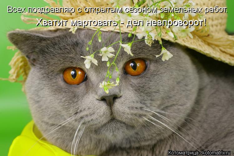 Котоматрица: Всех поздравляю с открытым сезоном земельных работ. Хватит мартовать - дел невпроворот!