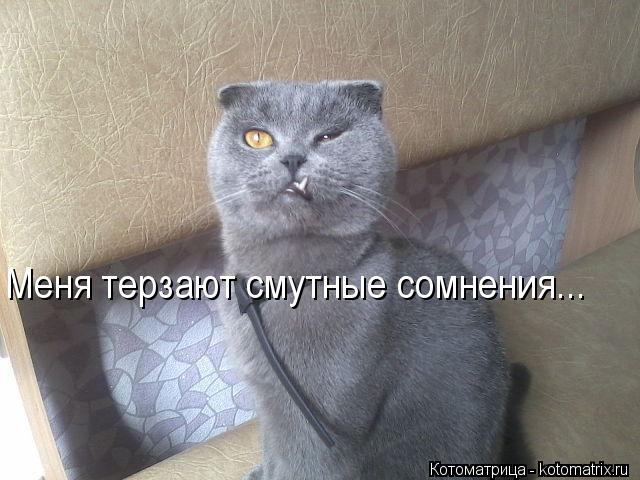 Котоматрица: Меня терзают смутные сомнения...