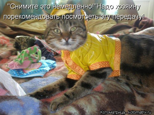 Котоматрица: "Снимите это немедленно!"Надо хозяину порекомендовать посмотреть эту передачу!