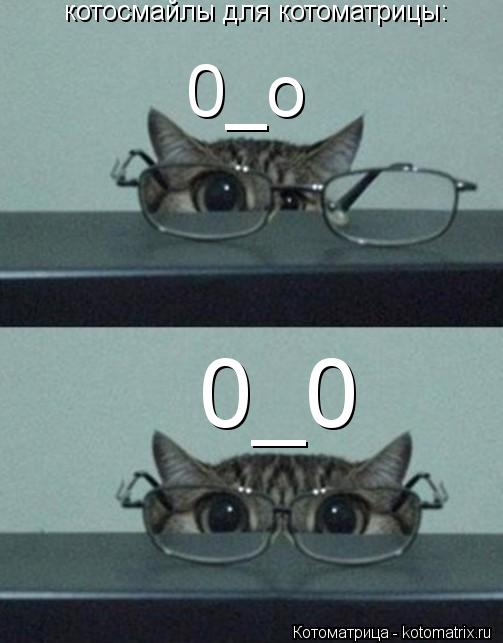 Котоматрица: котосмайлы для котоматрицы: 0_о 0_0