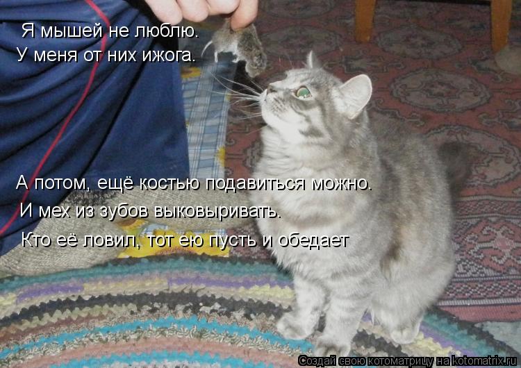 Котоматрица: Я мышей не люблю.  У меня от них ижога.  А потом, ещё костью подавиться можно. И мех из зубов выковыривать. Кто её ловил, тот ею пусть и обедает