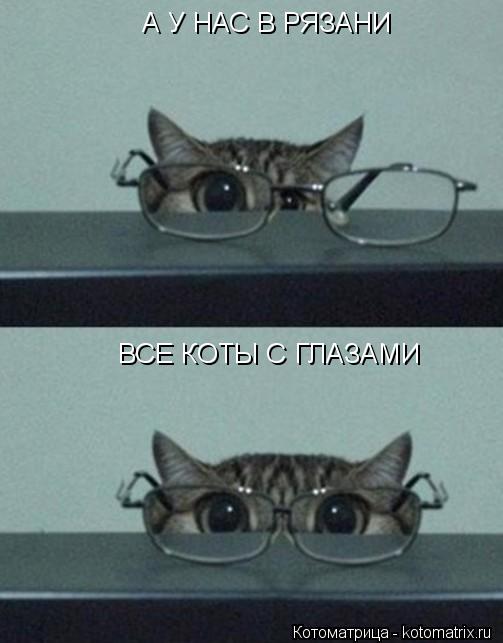 Котоматрица: А У НАС В РЯЗАНИ ВСЕ КОТЫ С ГЛАЗАМИ