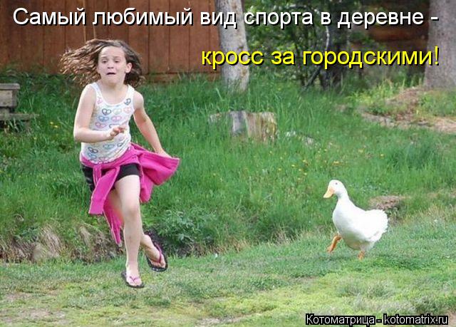 Котоматрица: Самый любимый вид спорта в деревне - кросс за городскими!