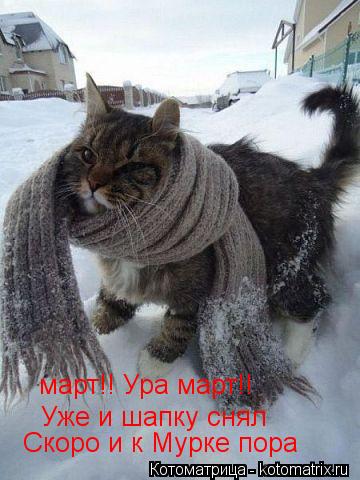 Котоматрица: март!! Ура март!! Уже и шапку снял Скоро и к Мурке пора