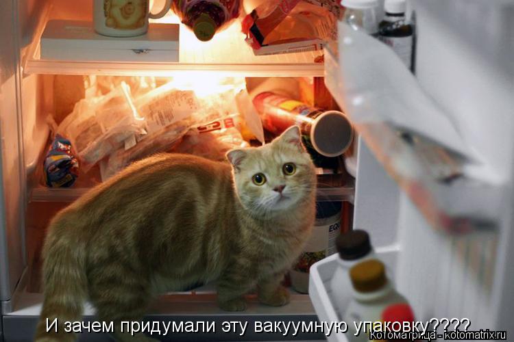 И зачем придумали эту вакуумную упаковку????... Котоматрица: И зачем придумали эту вакуумную упаковку????