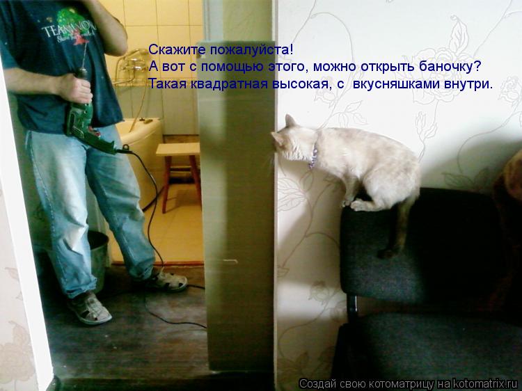 Котоматрица: Скажите пожалуйста! А вот с помощью этого, можно открыть баночку? Такая квадратная высокая, с  вкусняшками внутри.
