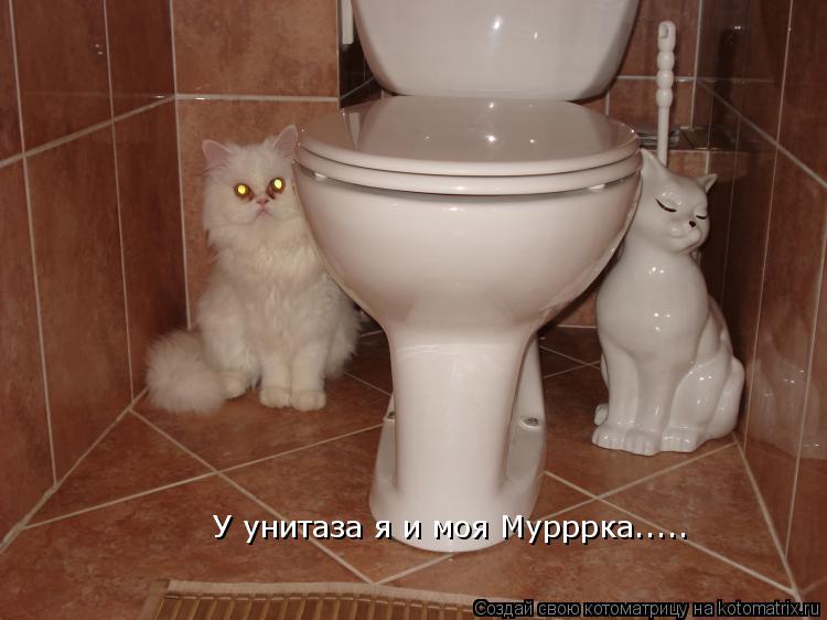Котоматрица: У унитаза я и моя Мурррка..... У унитаза я и моя Мурррка.....