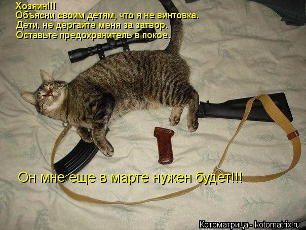 Котоматрица: Хозяин!!!  Объясни своим детям, что я не винтовка. Дети, не дергайте меня за затвор. Оставьте предохранитель в покое. Он мне еще в марте нужен б