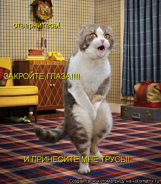 Котоматрица: отвернитесь!  ЗАКРОЙТЕ ГЛАЗА!!!! И ПРИНЕСИТЕ МНЕ ТРУСЫ!