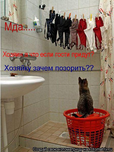 Мда..... Хозяин а что если гости придут? Хозяйку зачем позорить??... Котоматрица: Мда..... Хозяин а что если гости придут? Хозяйку зачем позорить??