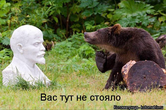 Котоматрица: Вас тут не стояло