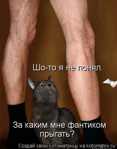 Шо-то я не понял. За каким мне фантиком прыгать?... Котоматрица: Шо-то я не понял. За каким мне фантиком прыгать?