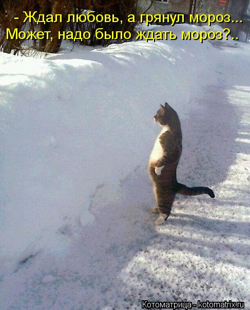 - Ждал любовь, а грянул мороз... Может, надо было ждать мороз?..... Котоматрица: - Ждал любовь, а грянул мороз... Может, надо было ждать мороз?..